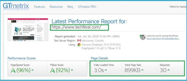 GTMetrix Score after migrating to Mewnix Hosting