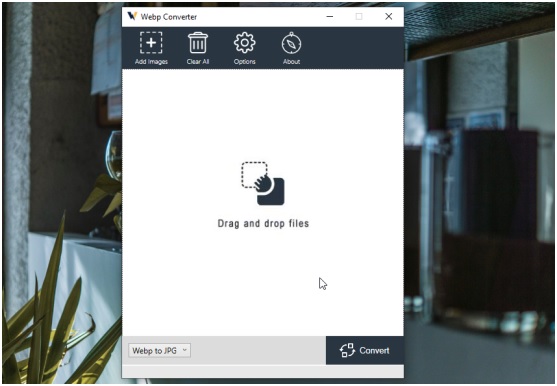 Batch Convert Image from Webp to JPG on Your Computer