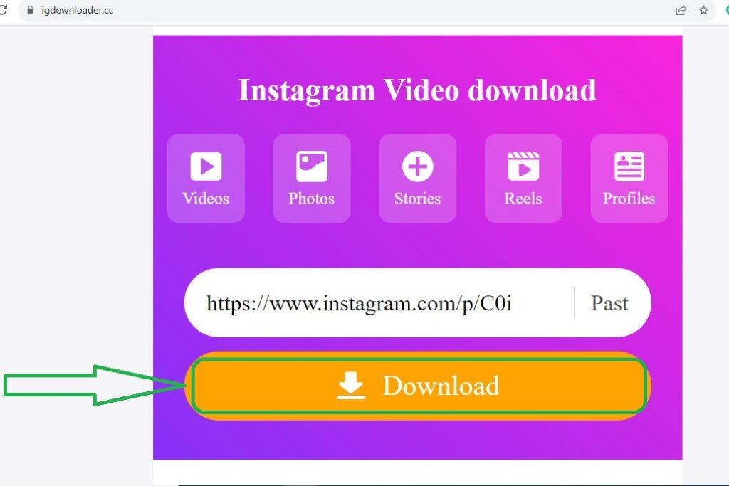 The next step is to visit IGdownloader.cc app & paste the Instagram URL in the download Box and click on “Download” button